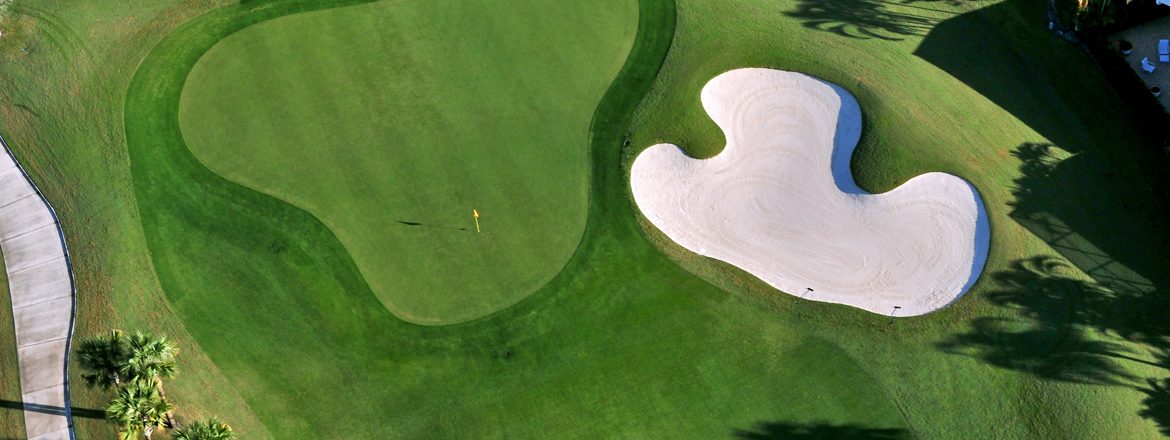 overhead view of florida golf green and flag